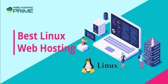 Best Linux Web Hosting