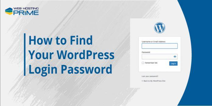 How to Find Your WordPress Login Password