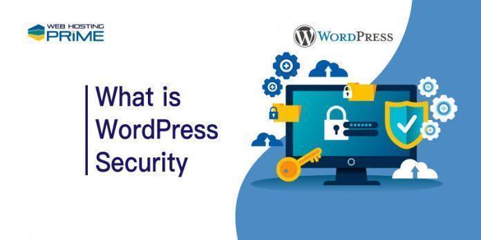 What is WordPress Security