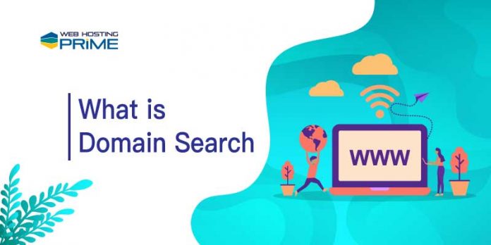 What is Domain Search