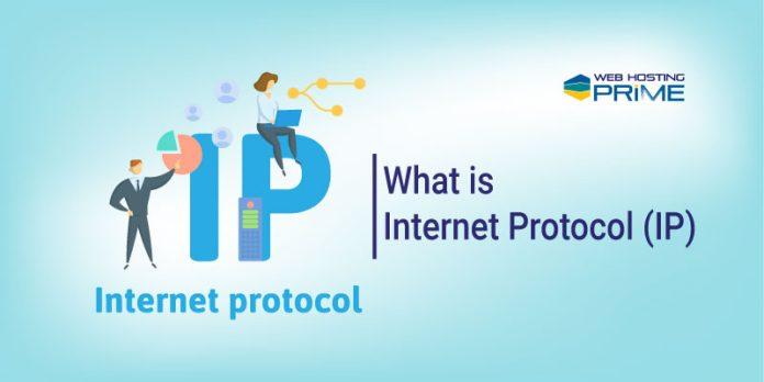 What is Internet Protocol (IP)